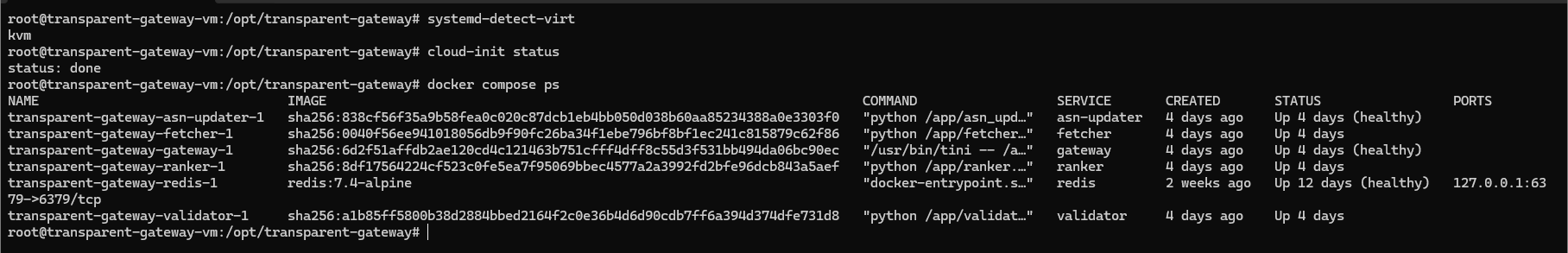 Термінал Transparent Gateway: KVM, завершений cloud-init і шість запущених сервісів